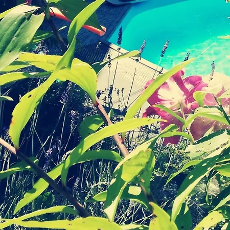 Kogelhuber Appartement *