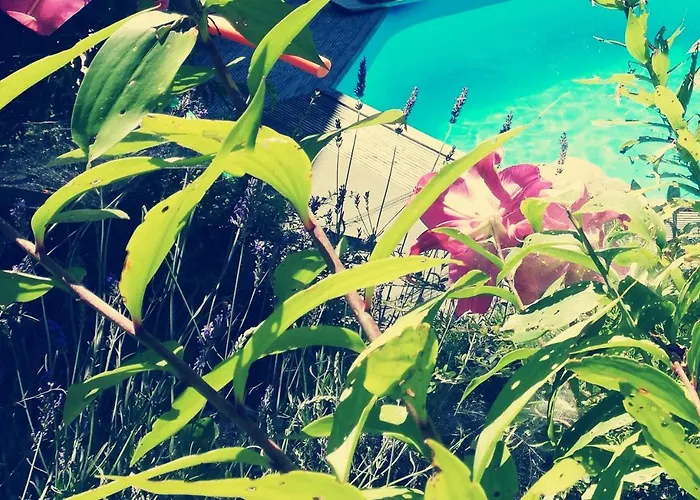 Kogelhuber Appartement *