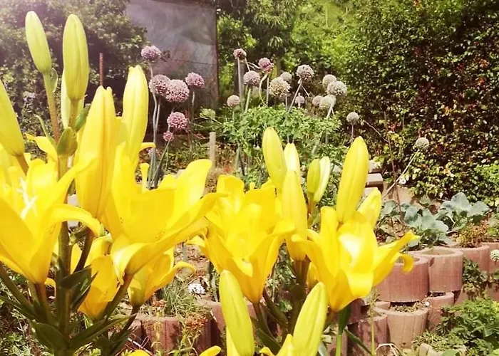 Appartement Kogelhuber Possnitz